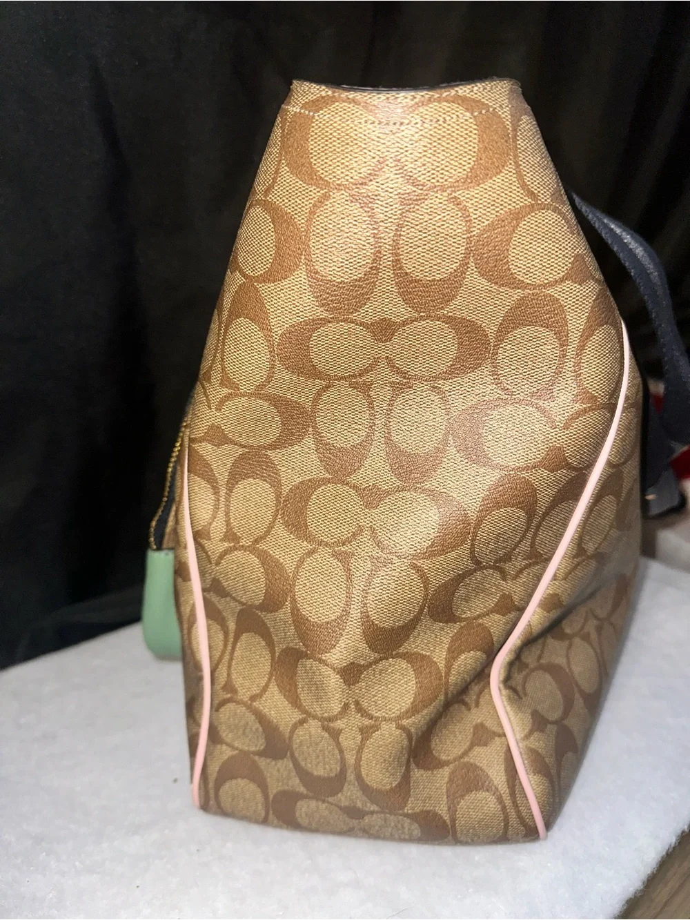 Coach Signature Canvas Tote with Brown and Green Trim